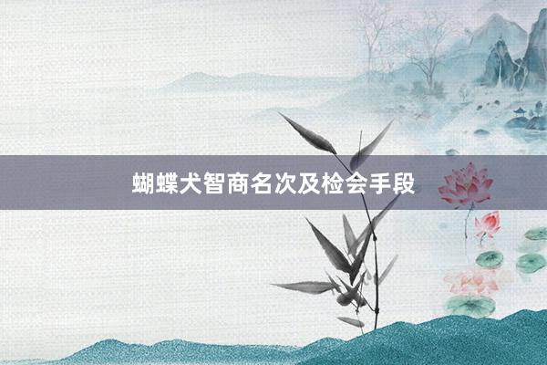 蝴蝶犬智商名次及检会手段