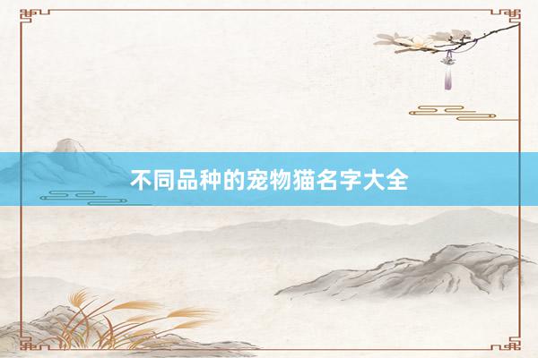 不同品种的宠物猫名字大全